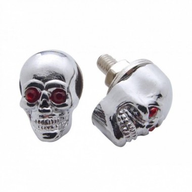 TORNILLOS PARA PLACA CON FORMA DE CALAVERA