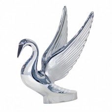 CISNE